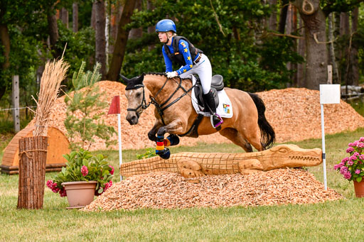 Goldene Schärpe Ponys in Hohenberg Krusemark 2024 | 13072024 Gelände 1 Abt_180 