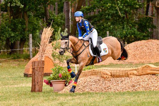 Goldene Schärpe Ponys in Hohenberg Krusemark 2024 | 13072024 Gelände 1 Abt_181 
