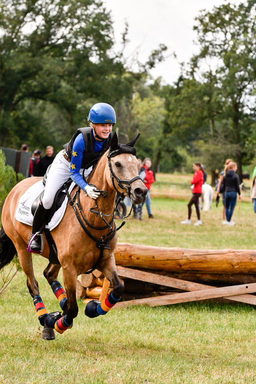 Goldene Schärpe Ponys in Hohenberg Krusemark 2024 | 13072024 Gelände 1 Abt_183 