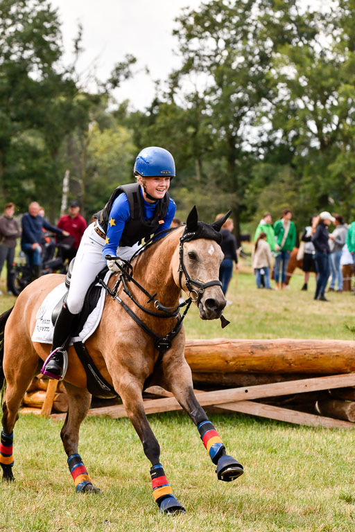 Goldene Schärpe Ponys in Hohenberg Krusemark 2024 | 13072024 Gelände 1 Abt_184 