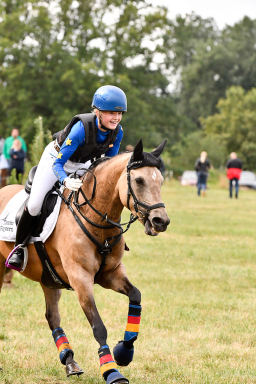 Goldene Schärpe Ponys in Hohenberg Krusemark 2024 | 13072024 Gelände 1 Abt_186 