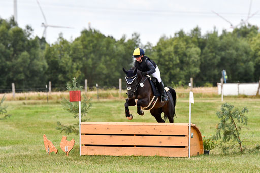 Goldene Schärpe Ponys in Hohenberg Krusemark 2024 | 13072024 Gelände 1 Abt_189 