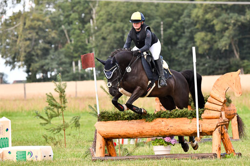 Goldene Schärpe Ponys in Hohenberg Krusemark 2024 | 13072024 Gelände 1 Abt_192 