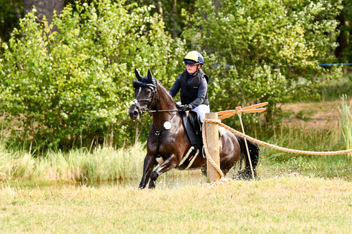 Goldene Schärpe Ponys in Hohenberg Krusemark 2024 | 13072024 Gelände 1 Abt_195 