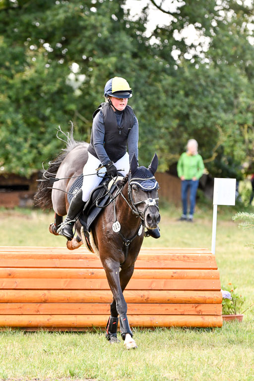 Goldene Schärpe Ponys in Hohenberg Krusemark 2024 | 13072024 Gelände 1 Abt_201 