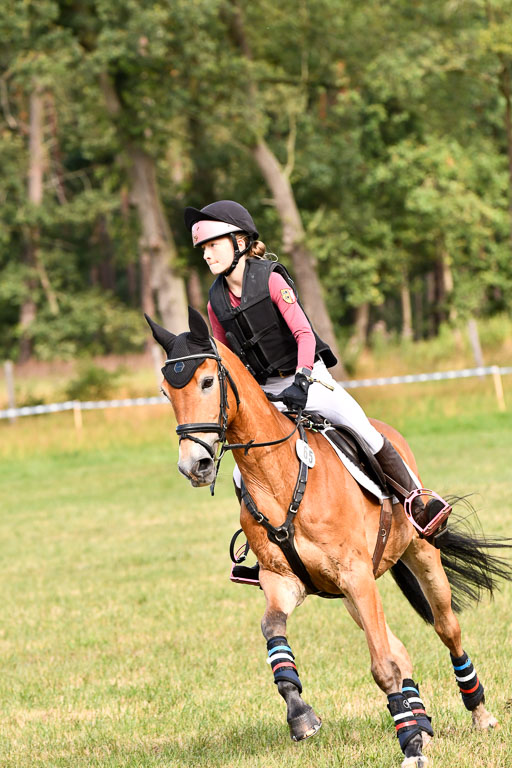 Goldene Schärpe Ponys in Hohenberg Krusemark 2024 | 13072024 Gelände 1 Abt_205 