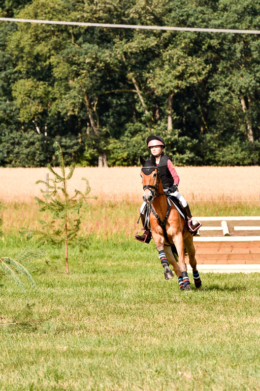 Goldene Schärpe Ponys in Hohenberg Krusemark 2024 | 13072024 Gelände 1 Abt_207 