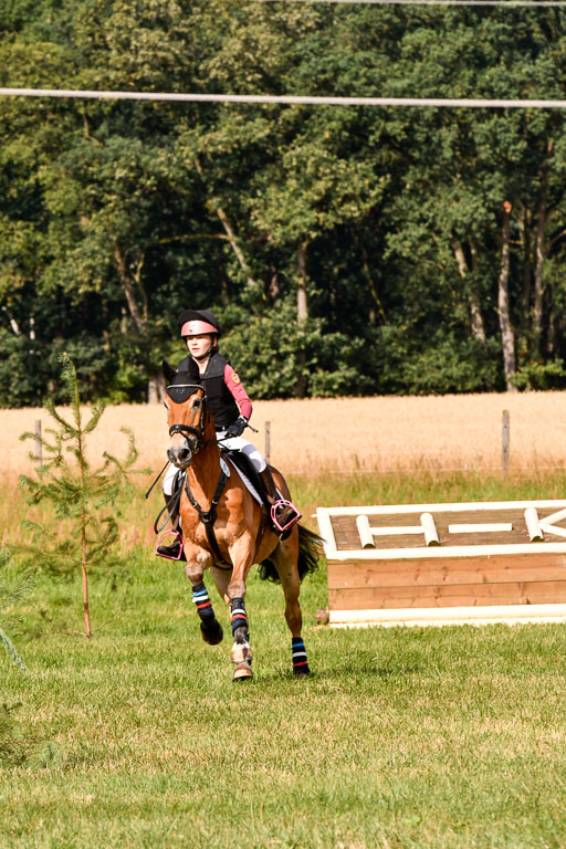 Goldene Schärpe Ponys in Hohenberg Krusemark 2024 | 13072024 Gelände 1 Abt_208 