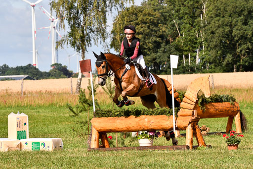 Goldene Schärpe Ponys in Hohenberg Krusemark 2024 | 13072024 Gelände 1 Abt_209 