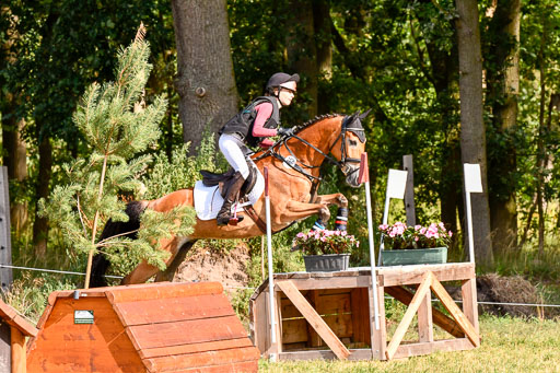 Goldene Schärpe Ponys in Hohenberg Krusemark 2024 | 13072024 Gelände 1 Abt_215 