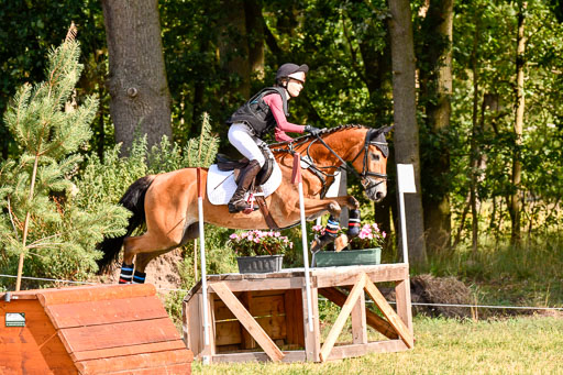 Goldene Schärpe Ponys in Hohenberg Krusemark 2024 | 13072024 Gelände 1 Abt_216 