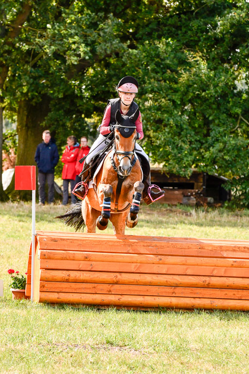 Goldene Schärpe Ponys in Hohenberg Krusemark 2024 | 13072024 Gelände 1 Abt_217 