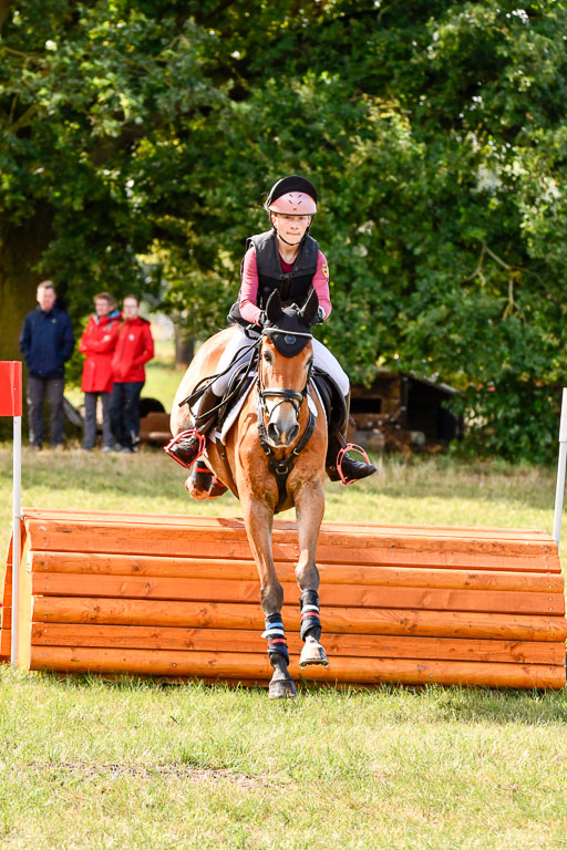 Goldene Schärpe Ponys in Hohenberg Krusemark 2024 | 13072024 Gelände 1 Abt_218 