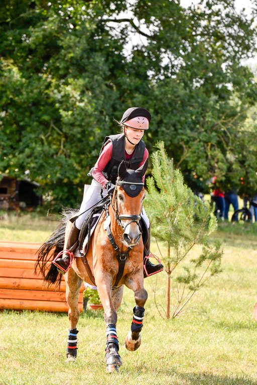 Goldene Schärpe Ponys in Hohenberg Krusemark 2024 | 13072024 Gelände 1 Abt_219 