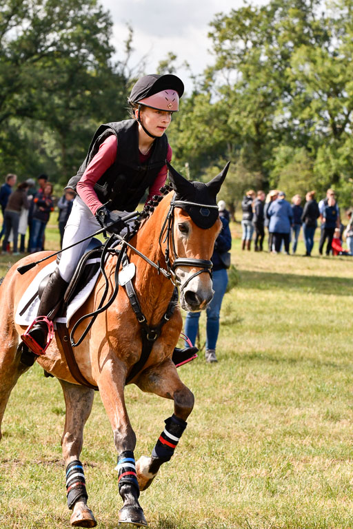 Goldene Schärpe Ponys in Hohenberg Krusemark 2024 | 13072024 Gelände 1 Abt_220 