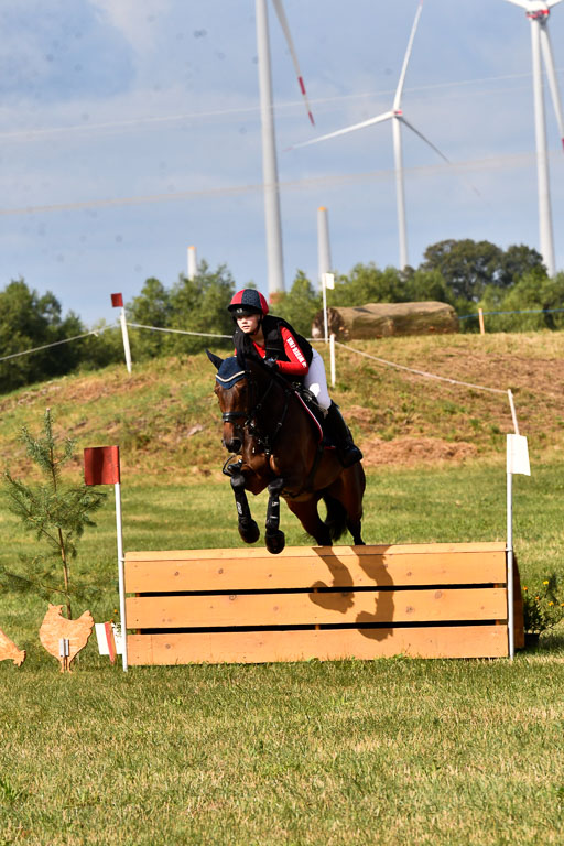 Goldene Schärpe Ponys in Hohenberg Krusemark 2024 | 13072024 Gelände 1 Abt_222 