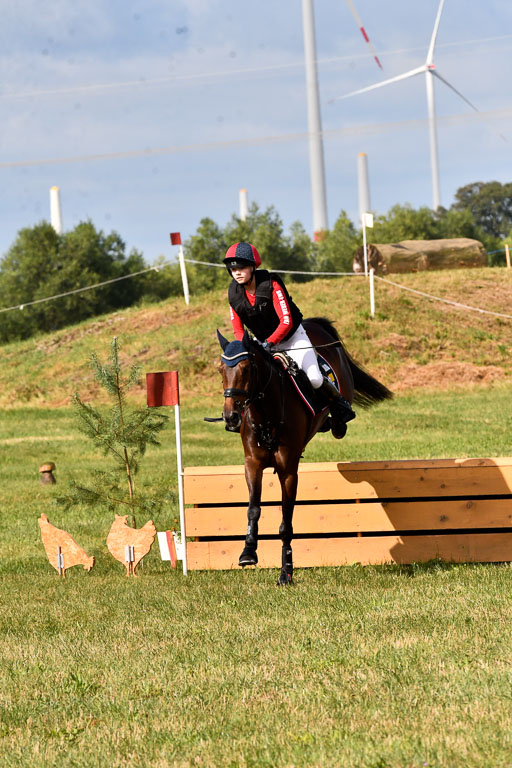 Goldene Schärpe Ponys in Hohenberg Krusemark 2024 | 13072024 Gelände 1 Abt_223 