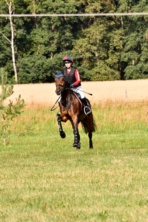 Goldene Schärpe Ponys in Hohenberg Krusemark 2024 | 13072024 Gelände 1 Abt_225 