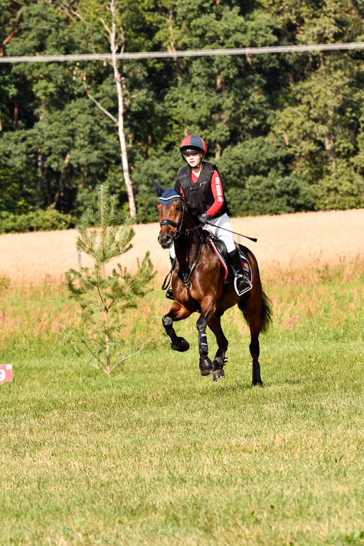 Goldene Schärpe Ponys in Hohenberg Krusemark 2024 | 13072024 Gelände 1 Abt_226 