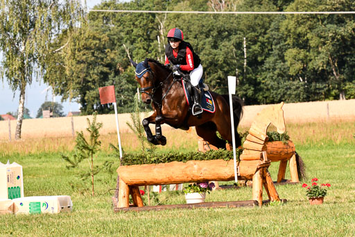 Goldene Schärpe Ponys in Hohenberg Krusemark 2024 | 13072024 Gelände 1 Abt_228 