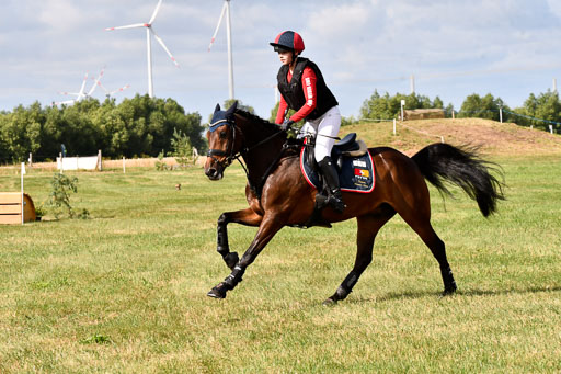 Goldene Schärpe Ponys in Hohenberg Krusemark 2024 | 13072024 Gelände 1 Abt_230 
