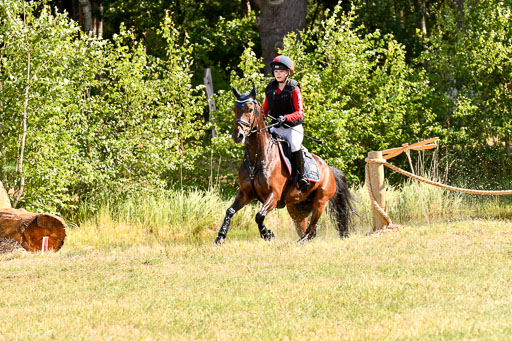 Goldene Schärpe Ponys in Hohenberg Krusemark 2024 | 13072024 Gelände 1 Abt_231 