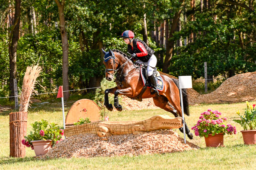 Goldene Schärpe Ponys in Hohenberg Krusemark 2024 | 13072024 Gelände 1 Abt_234 