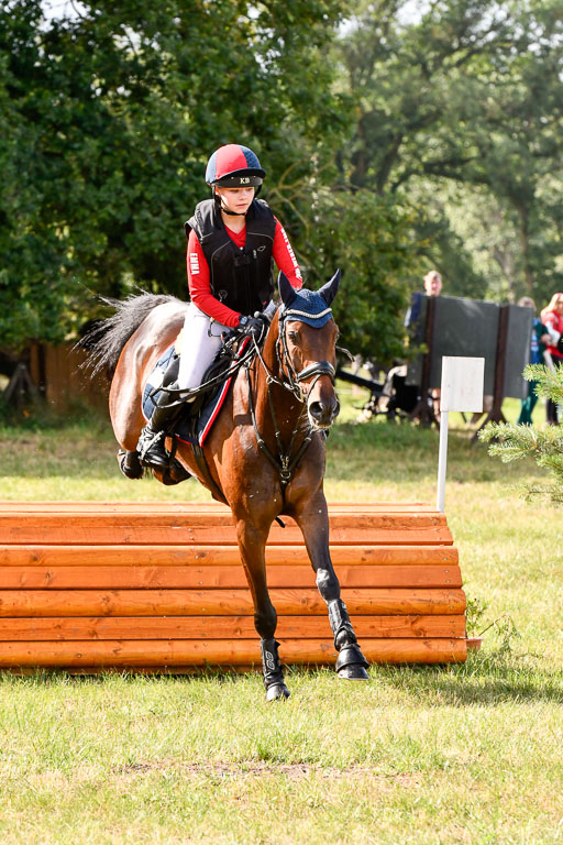 Goldene Schärpe Ponys in Hohenberg Krusemark 2024 | 13072024 Gelände 1 Abt_240 