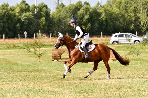 Goldene Schärpe Ponys in Hohenberg Krusemark 2024 | 13072024 Gelände 1 Abt_245 