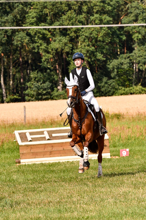 Goldene Schärpe Ponys in Hohenberg Krusemark 2024 | 13072024 Gelände 1 Abt_246 