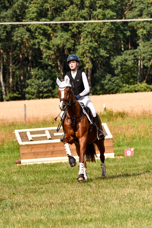 Goldene Schärpe Ponys in Hohenberg Krusemark 2024 | 13072024 Gelände 1 Abt_247 