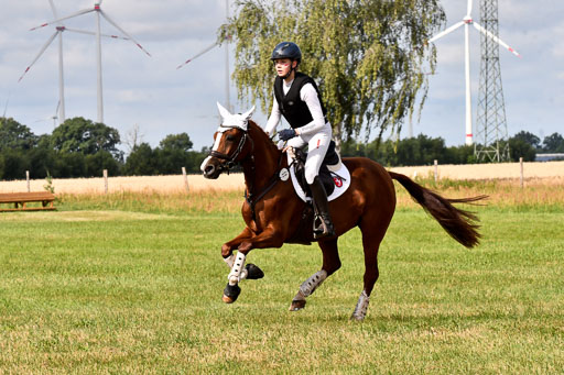 Goldene Schärpe Ponys in Hohenberg Krusemark 2024 | 13072024 Gelände 1 Abt_250 