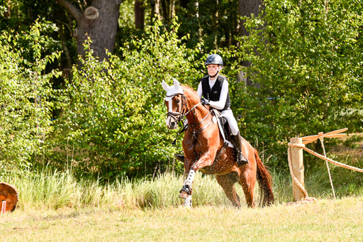Goldene Schärpe Ponys in Hohenberg Krusemark 2024 | 13072024 Gelände 1 Abt_251 