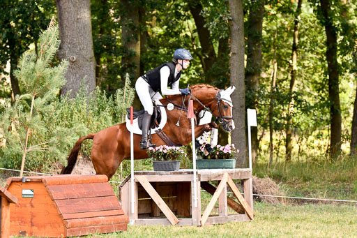 Goldene Schärpe Ponys in Hohenberg Krusemark 2024 | 13072024 Gelände 1 Abt_253 