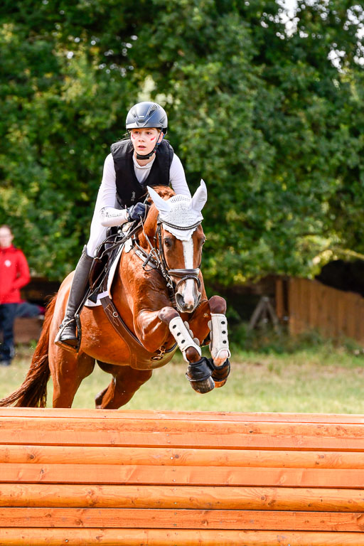 Goldene Schärpe Ponys in Hohenberg Krusemark 2024 | 13072024 Gelände 1 Abt_257 