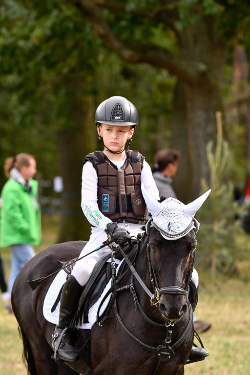 Goldene Schärpe Ponys in Hohenberg Krusemark 2024 | 13072024 Gelände 1 Abt_262 