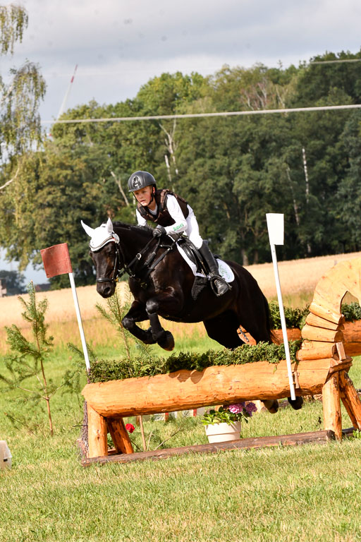 Goldene Schärpe Ponys in Hohenberg Krusemark 2024 | 13072024 Gelände 1 Abt_264 