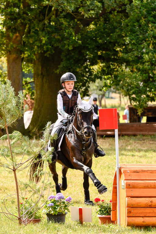 Goldene Schärpe Ponys in Hohenberg Krusemark 2024 | 13072024 Gelände 1 Abt_272 