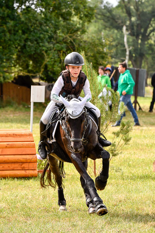 Goldene Schärpe Ponys in Hohenberg Krusemark 2024 | 13072024 Gelände 1 Abt_274 