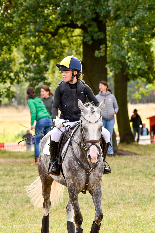 Goldene Schärpe Ponys in Hohenberg Krusemark 2024 | 13072024 Gelände 1 Abt_276 
