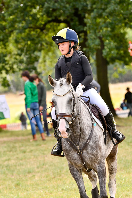 Goldene Schärpe Ponys in Hohenberg Krusemark 2024 | 13072024 Gelände 1 Abt_277 