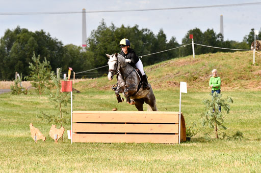 Goldene Schärpe Ponys in Hohenberg Krusemark 2024 | 13072024 Gelände 1 Abt_279 