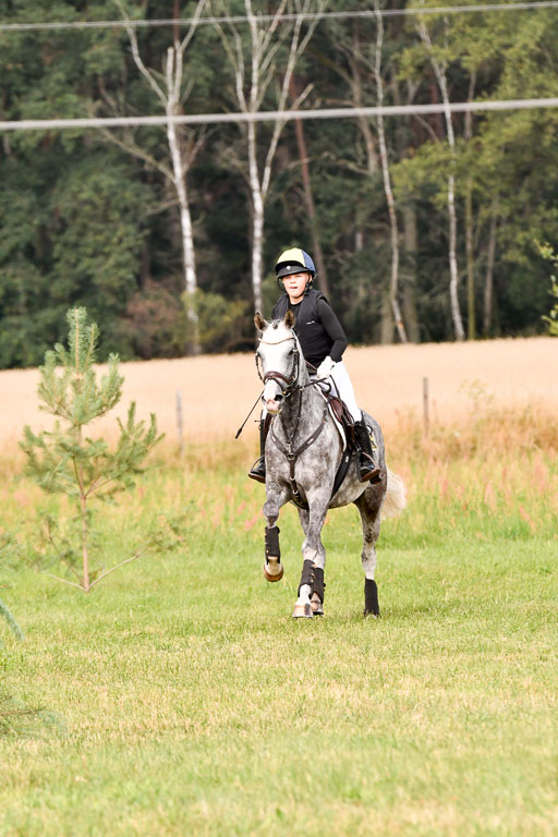 Goldene Schärpe Ponys in Hohenberg Krusemark 2024 | 13072024 Gelände 1 Abt_281 