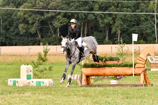 Goldene Schärpe Ponys in Hohenberg Krusemark 2024 | 13072024 Gelände 1 Abt_283 