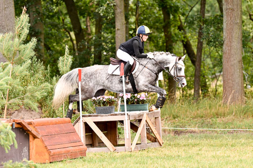Goldene Schärpe Ponys in Hohenberg Krusemark 2024 | 13072024 Gelände 1 Abt_289 