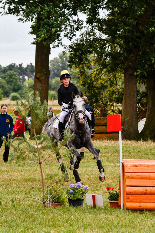 Goldene Schärpe Ponys in Hohenberg Krusemark 2024 | 13072024 Gelände 1 Abt_292 