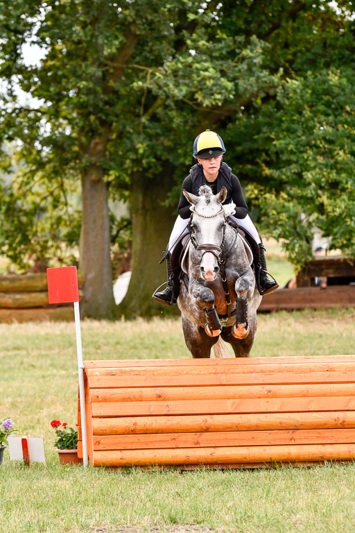 Goldene Schärpe Ponys in Hohenberg Krusemark 2024 | 13072024 Gelände 1 Abt_293 