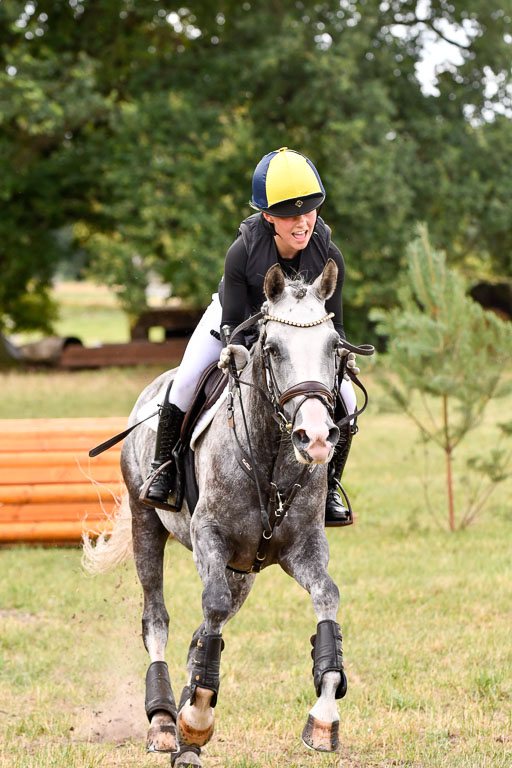 Goldene Schärpe Ponys in Hohenberg Krusemark 2024 | 13072024 Gelände 1 Abt_297 