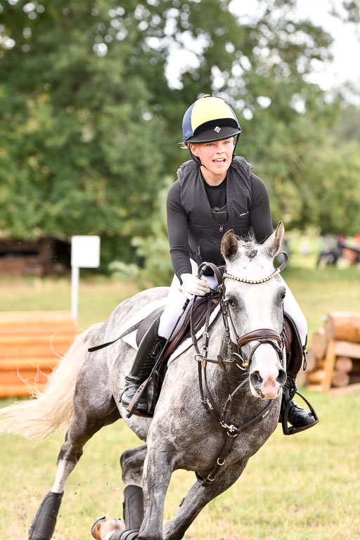 Goldene Schärpe Ponys in Hohenberg Krusemark 2024 | 13072024 Gelände 1 Abt_298 