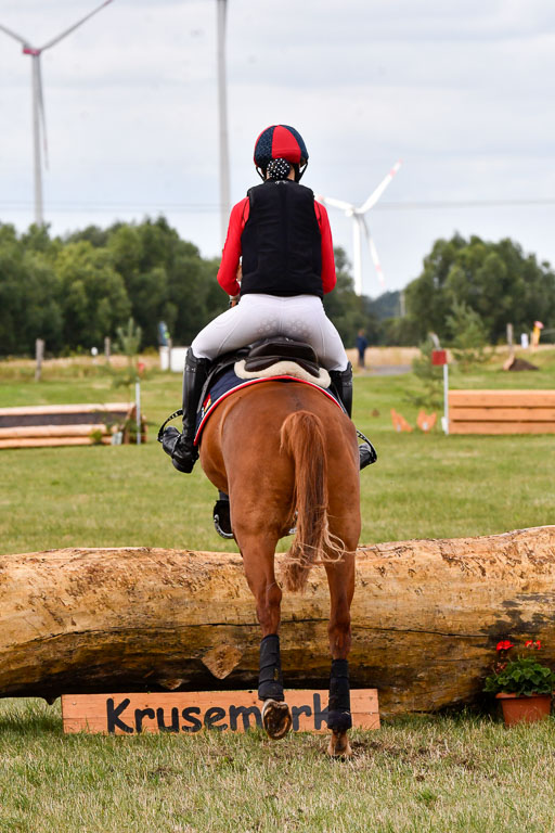 Goldene Schärpe Ponys in Hohenberg Krusemark 2024 | 13072024 Gelände 1 Abt_299 